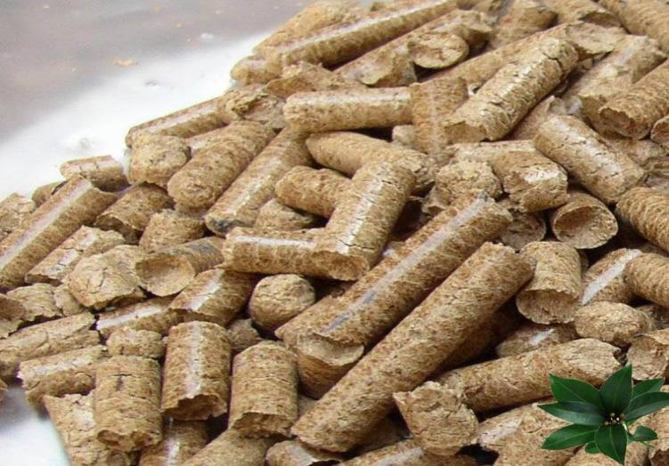 鍥劇墖1.png 鍥劇墖1.png