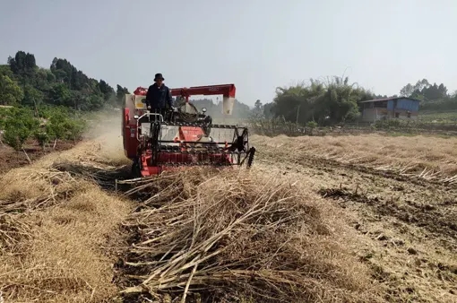 src=http___pic3.newssc.org_upload_ori_0014000000000_20200507_1588848605336.jpg&refer=http___pic3